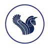 ایرتور